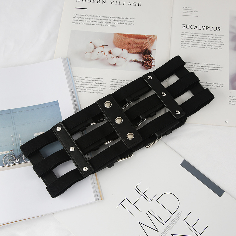 Harness Belt Detail View 2